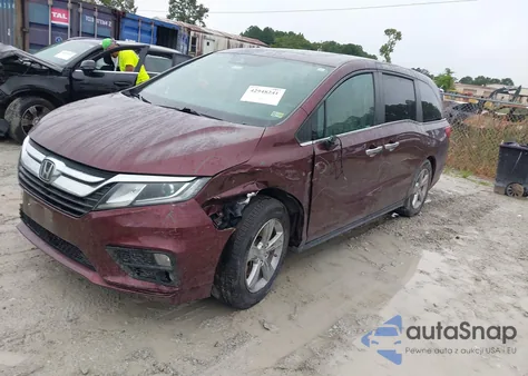 2019 Honda Odyssey Ex-L z USA, uszkodzony, nr VIN 5FNRL6H78KB020648